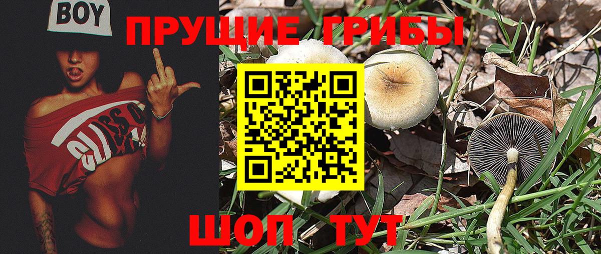 Ялуторовск  Псилоцибиновые грибы GOLDEN TEACHER  где купить наркотик  Вход с VPN 