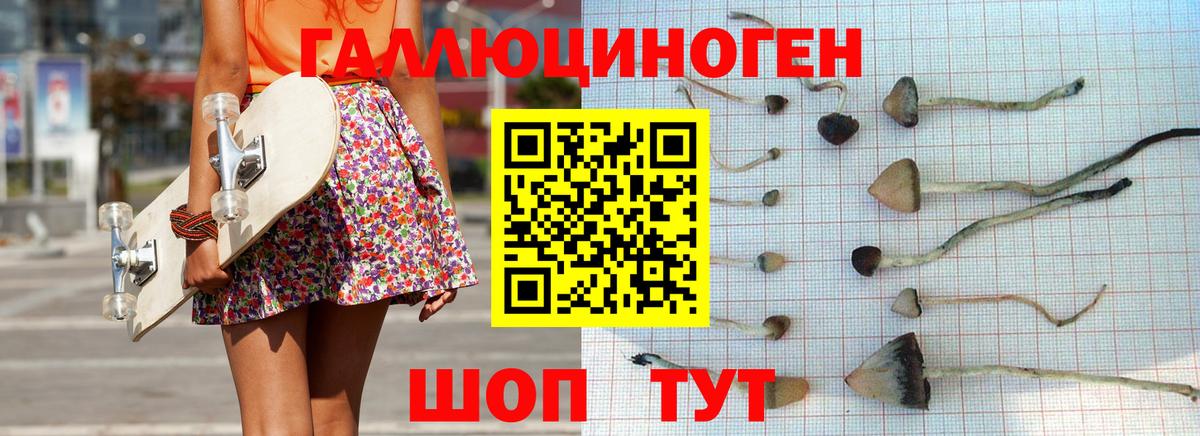 Галлюциногенные грибы Psilocybe Ялуторовск